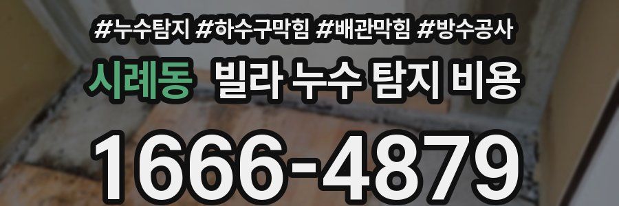 시례동 빌라 누수 탐지 비용