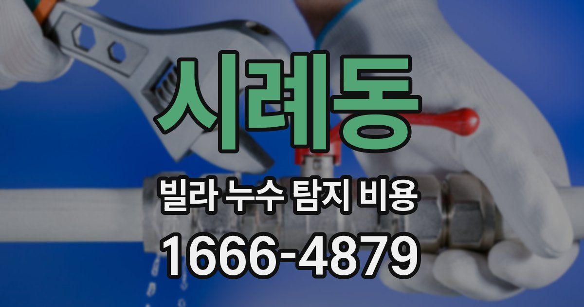 시례동 빌라 누수 탐지 비용
