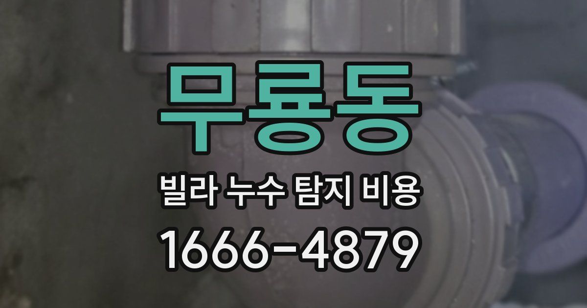 무룡동 빌라 누수 탐지 비용