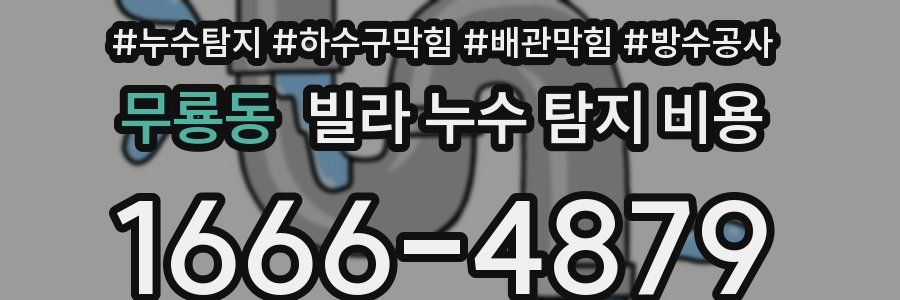 무룡동 빌라 누수 탐지 비용