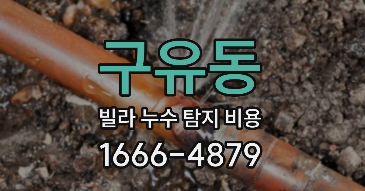 구유동 빌라 누수 탐지 비용