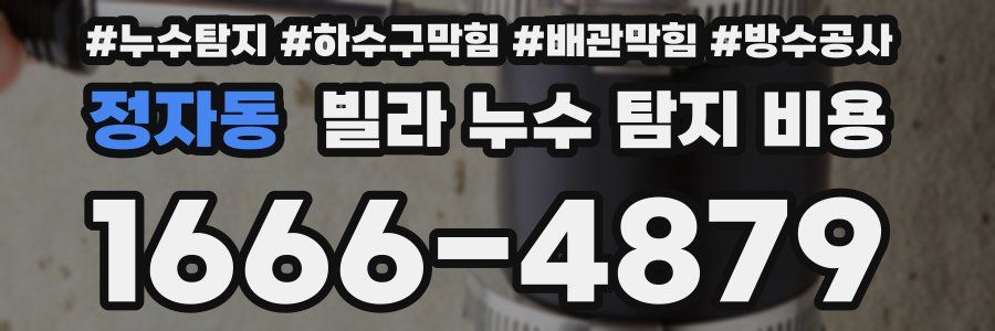 정자동 빌라 누수 탐지 비용