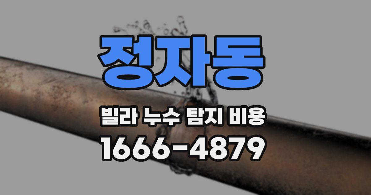 정자동 빌라 누수 탐지 비용