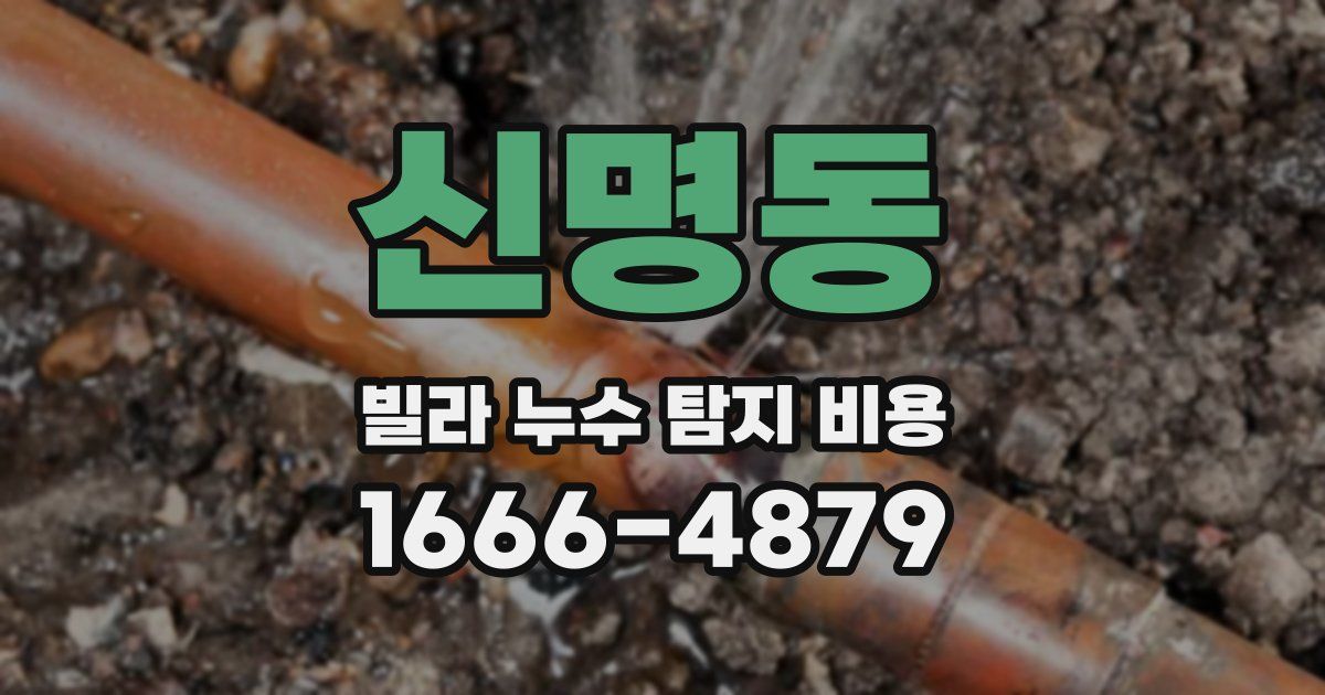 신명동 빌라 누수 탐지 비용