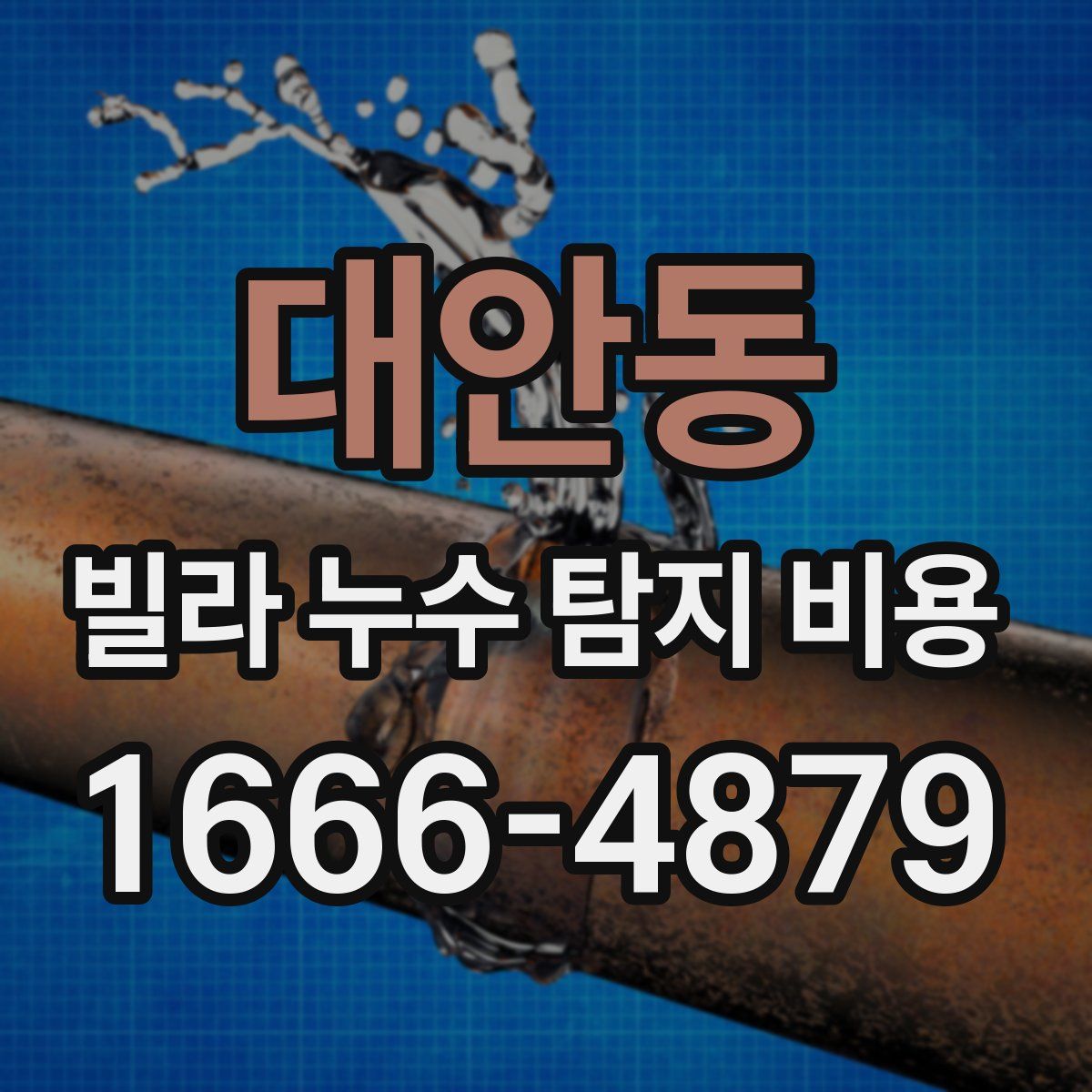 대안동 빌라 누수 탐지 비용