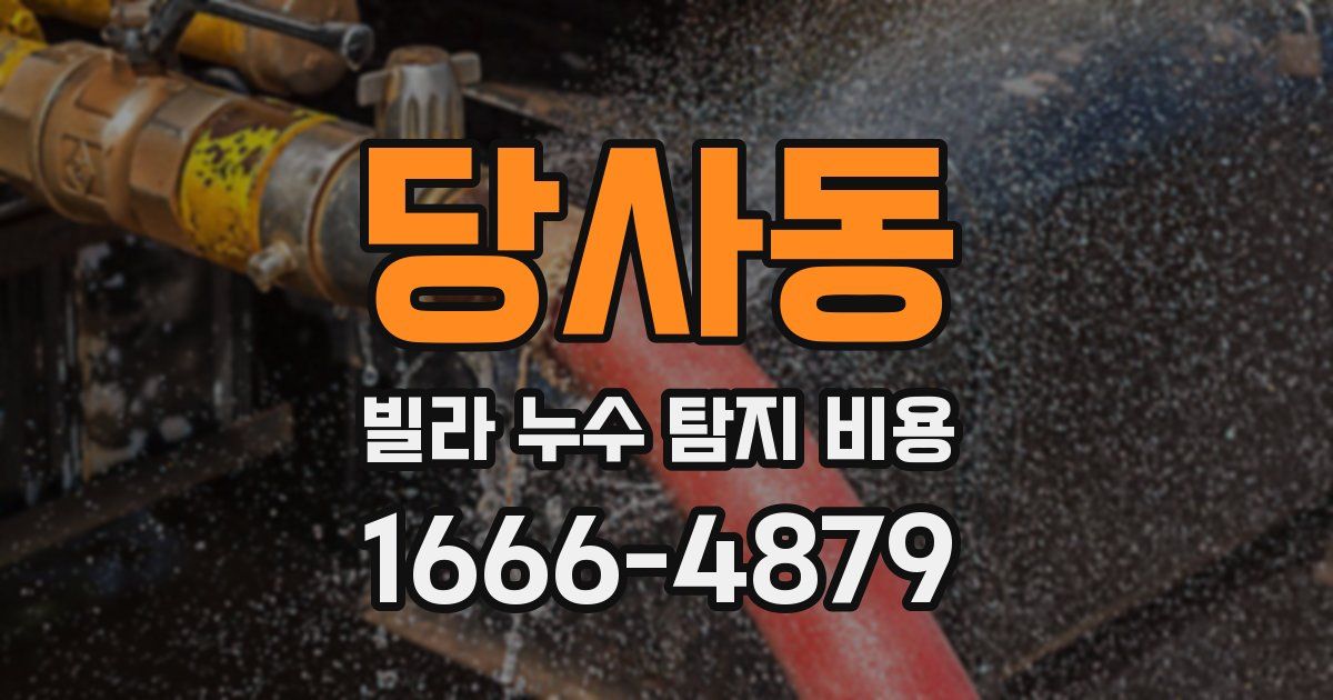 당사동 빌라 누수 탐지 비용