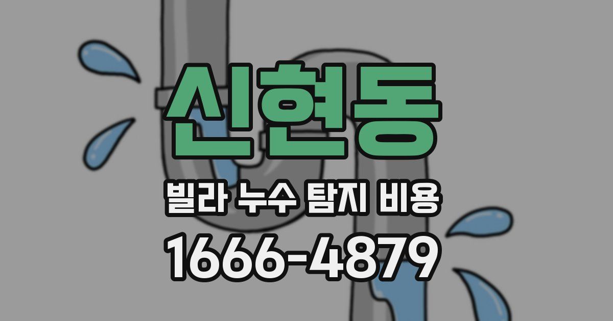 신현동 빌라 누수 탐지 비용