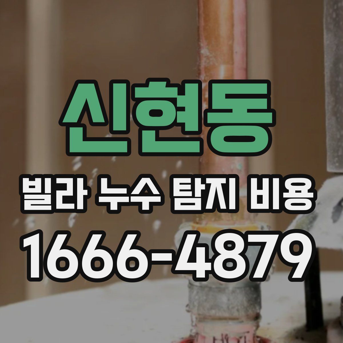 신현동 빌라 누수 탐지 비용