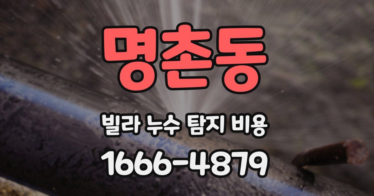명촌동 빌라 누수 탐지 비용
