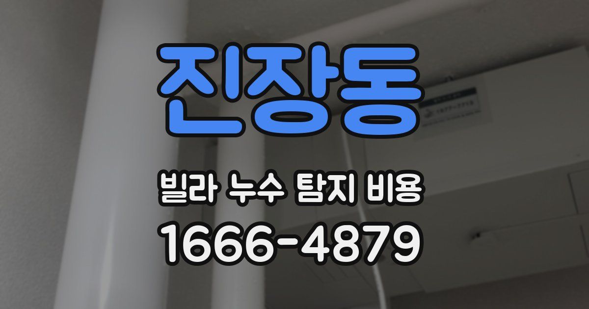 진장동 빌라 누수 탐지 비용