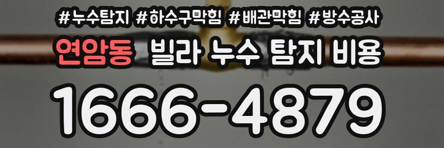 연암동 빌라 누수 탐지 비용