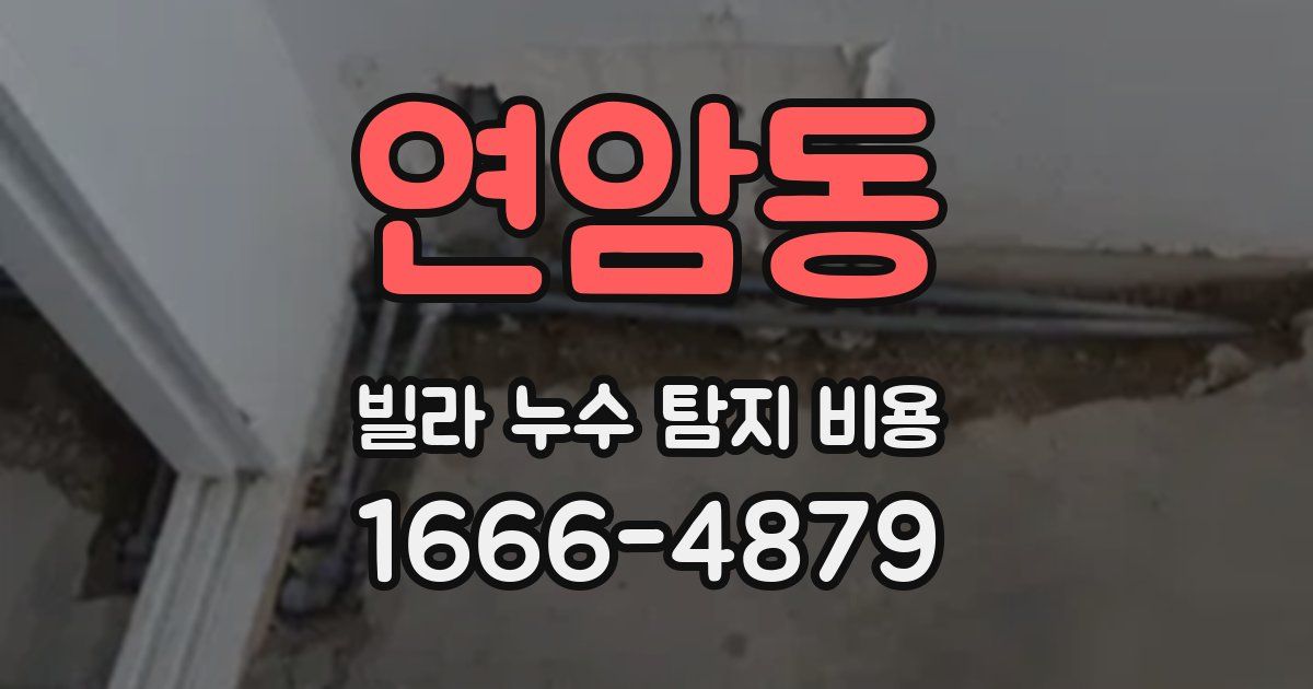 연암동 빌라 누수 탐지 비용
