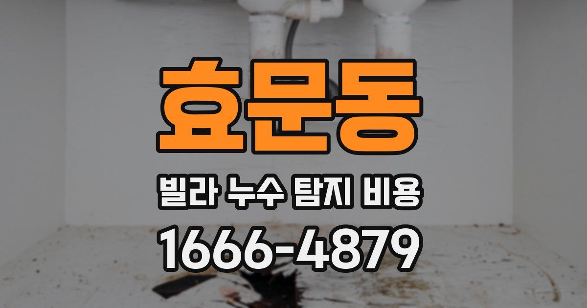 효문동 빌라 누수 탐지 비용