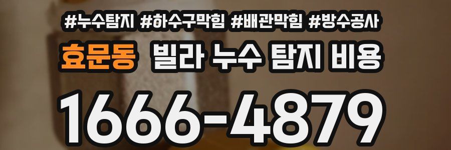 효문동 빌라 누수 탐지 비용