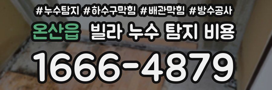 온산읍 빌라 누수 탐지 비용