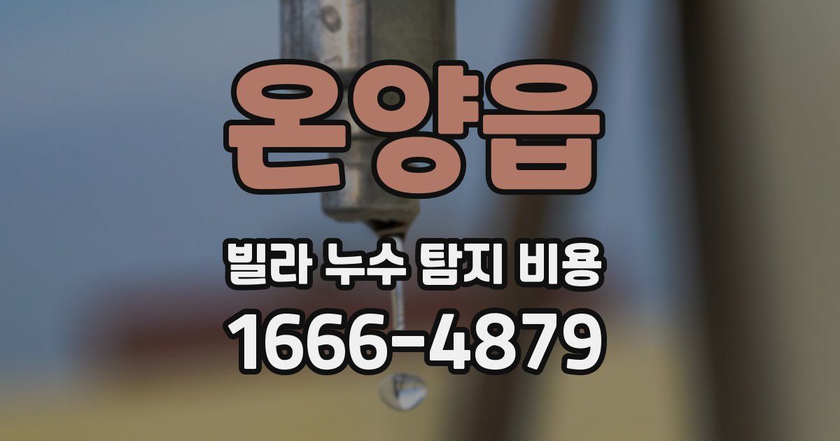 온양읍 빌라 누수 탐지 비용