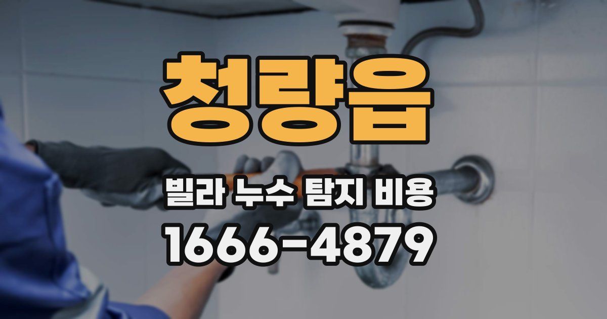 청량읍 빌라 누수 탐지 비용