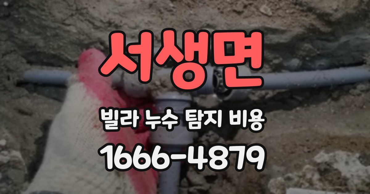 서생면 빌라 누수 탐지 비용