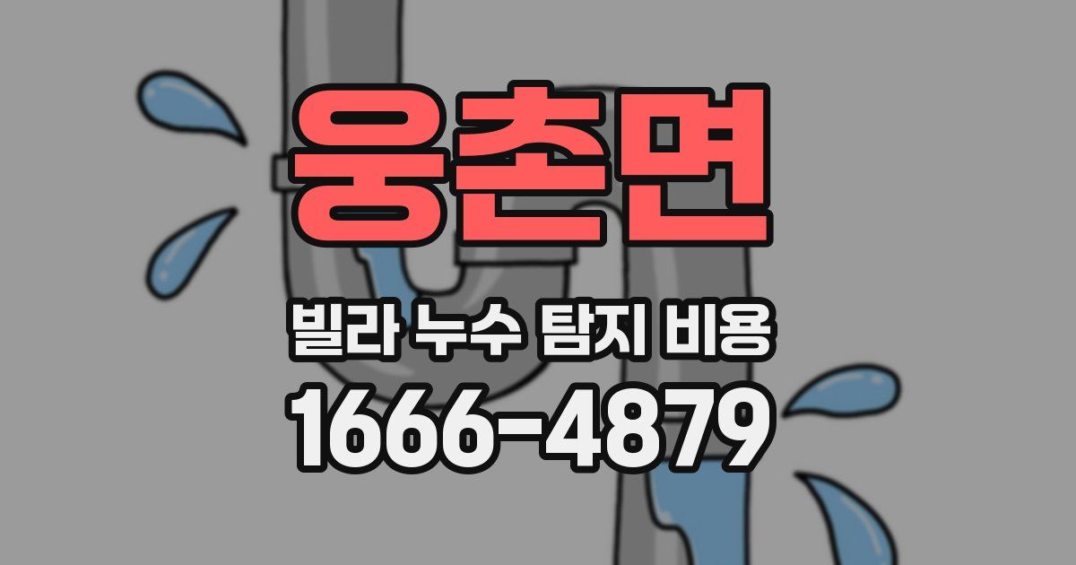 웅촌면 빌라 누수 탐지 비용