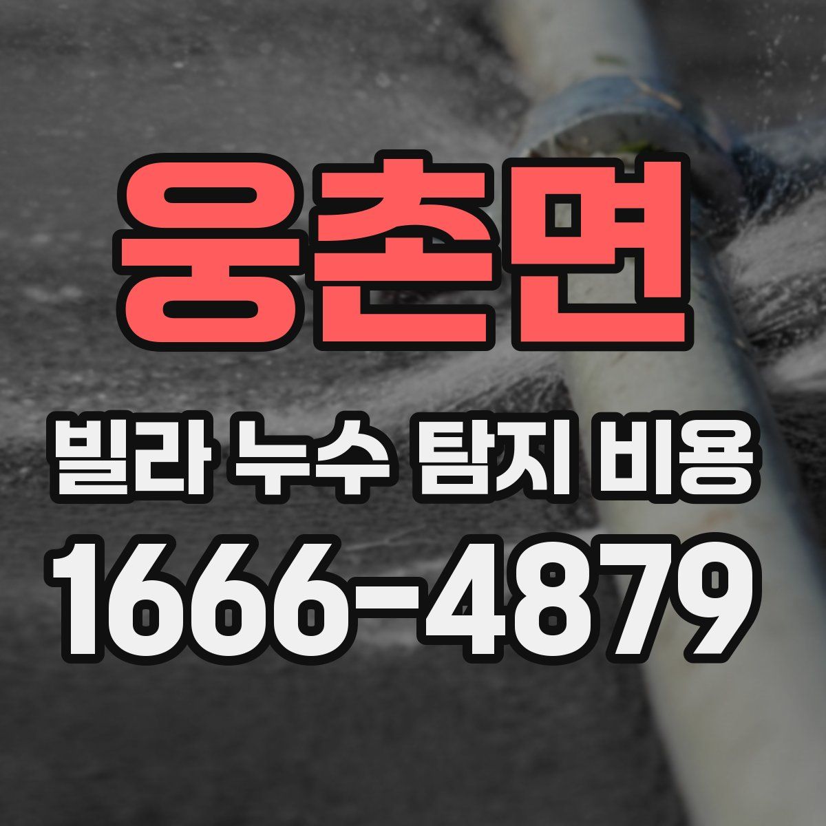 웅촌면 빌라 누수 탐지 비용