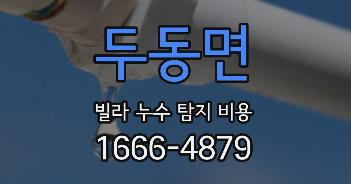 두동면 빌라 누수 탐지 비용