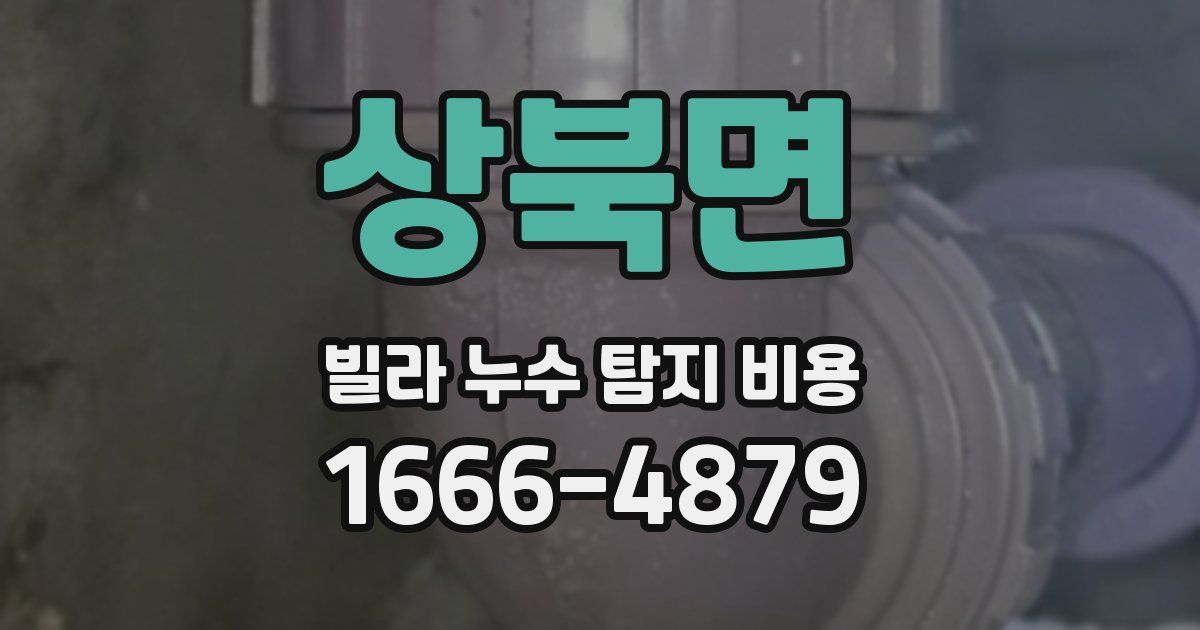 상북면 빌라 누수 탐지 비용