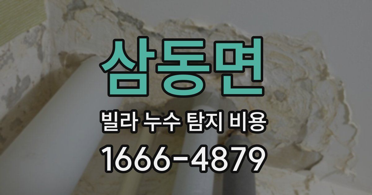 삼동면 빌라 누수 탐지 비용
