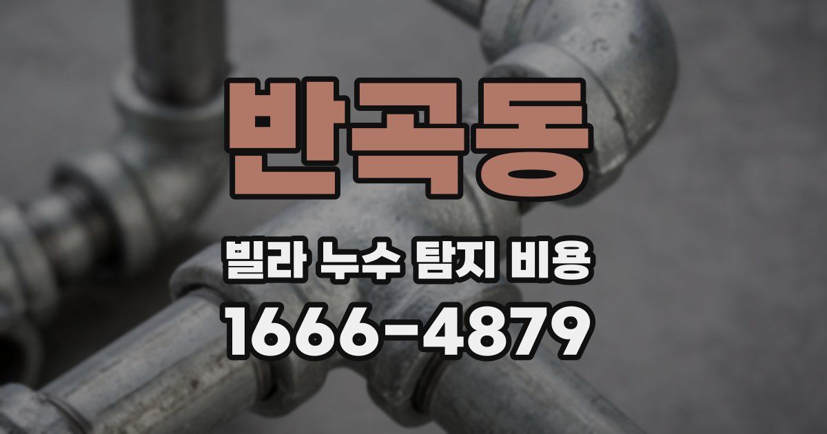 반곡동 빌라 누수 탐지 비용