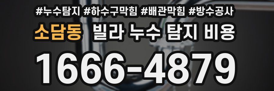 소담동 빌라 누수 탐지 비용