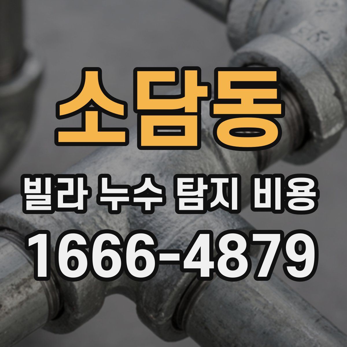 소담동 빌라 누수 탐지 비용