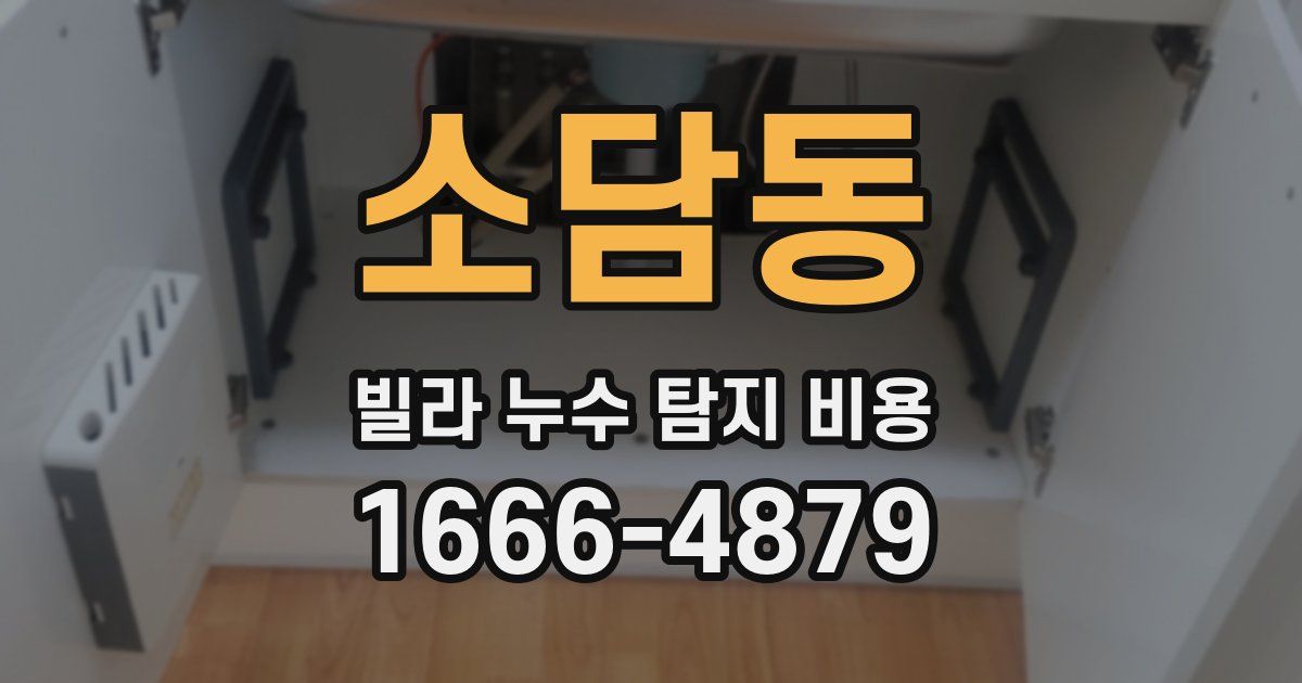 소담동 빌라 누수 탐지 비용