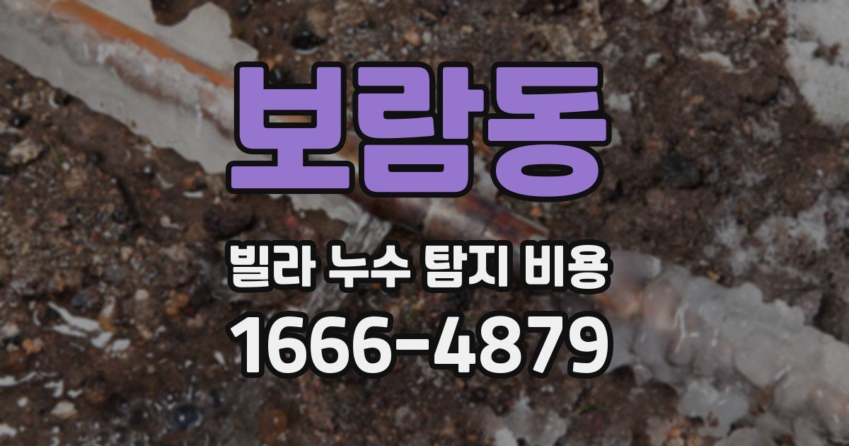 보람동 빌라 누수 탐지 비용