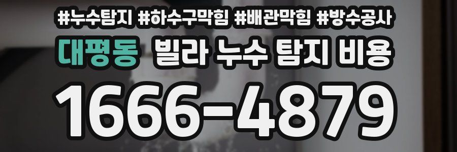 대평동 빌라 누수 탐지 비용