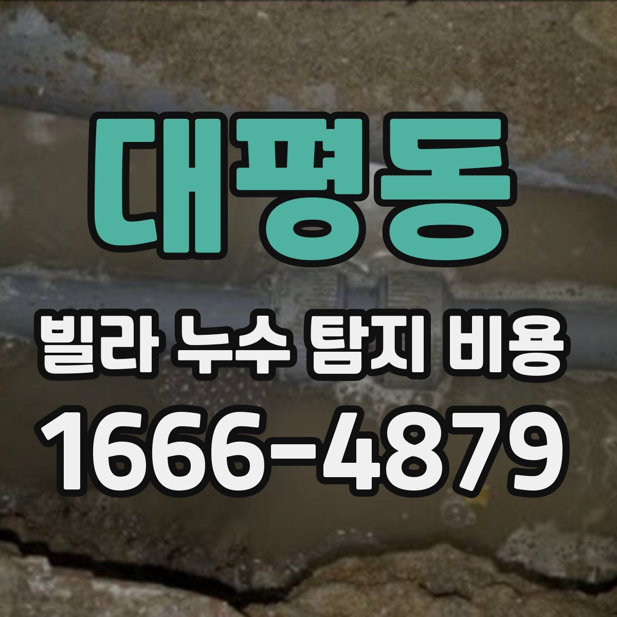 대평동 빌라 누수 탐지 비용