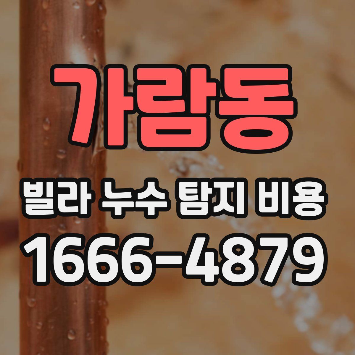 가람동 빌라 누수 탐지 비용