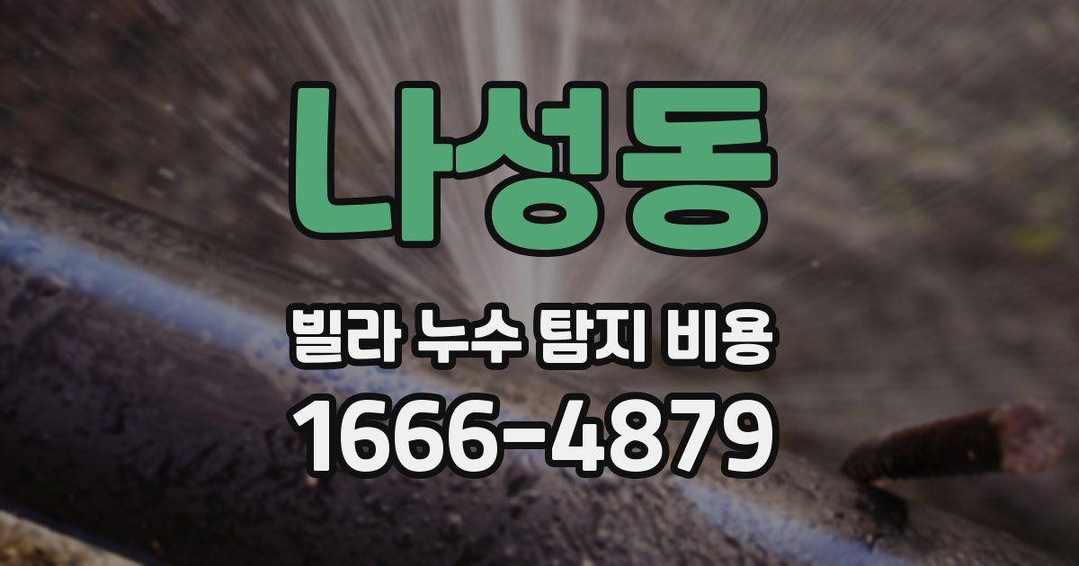 나성동 빌라 누수 탐지 비용