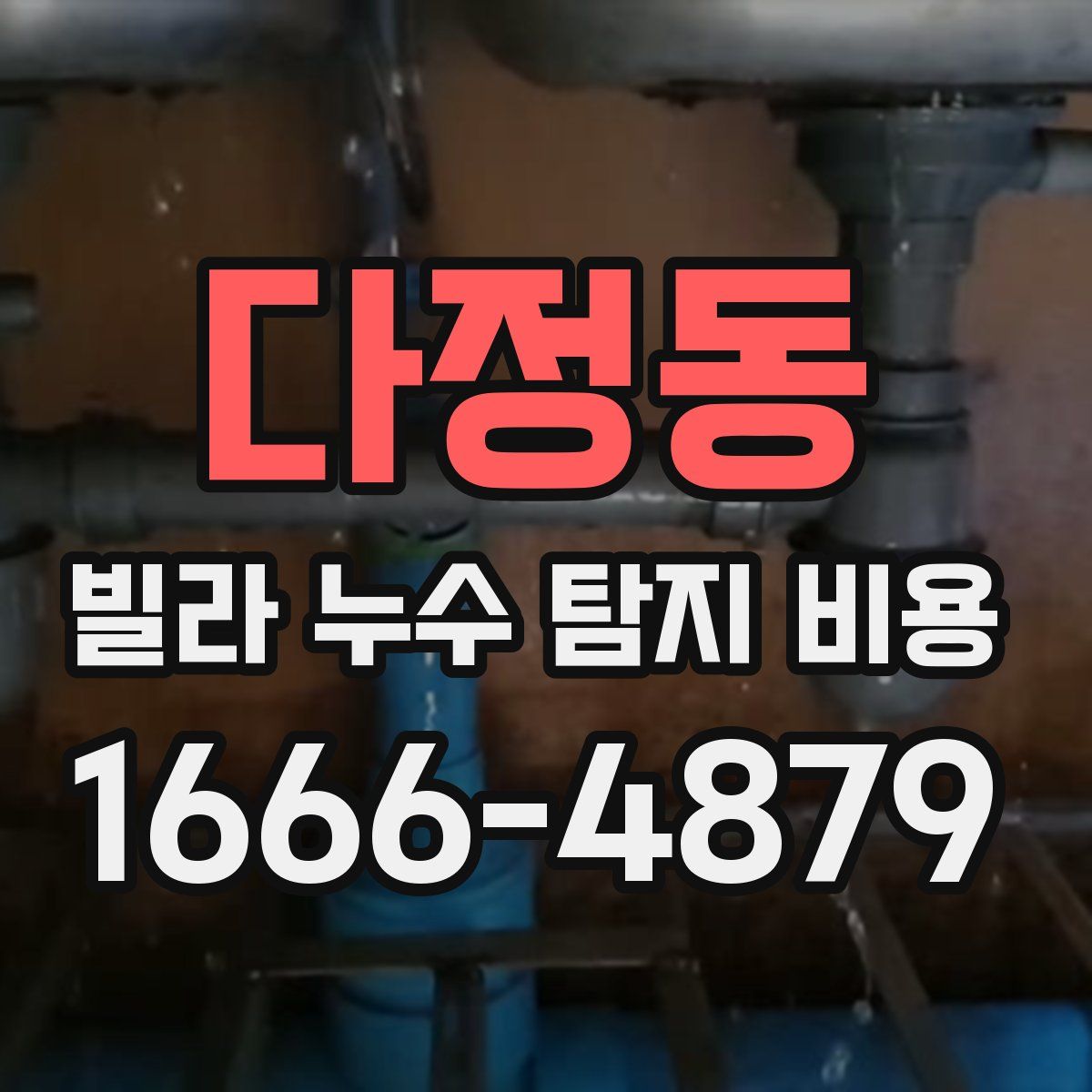 다정동 빌라 누수 탐지 비용
