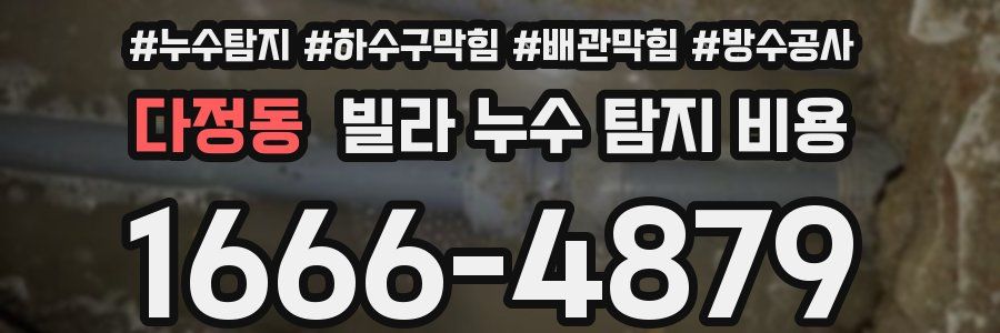 다정동 빌라 누수 탐지 비용