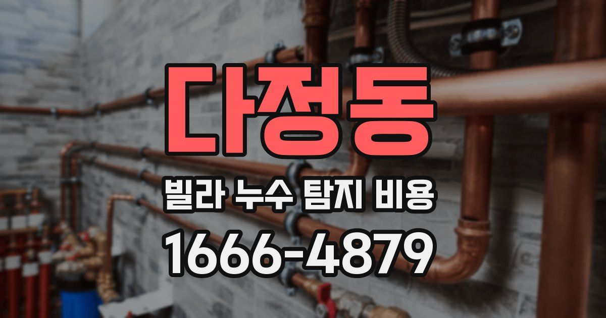 다정동 빌라 누수 탐지 비용