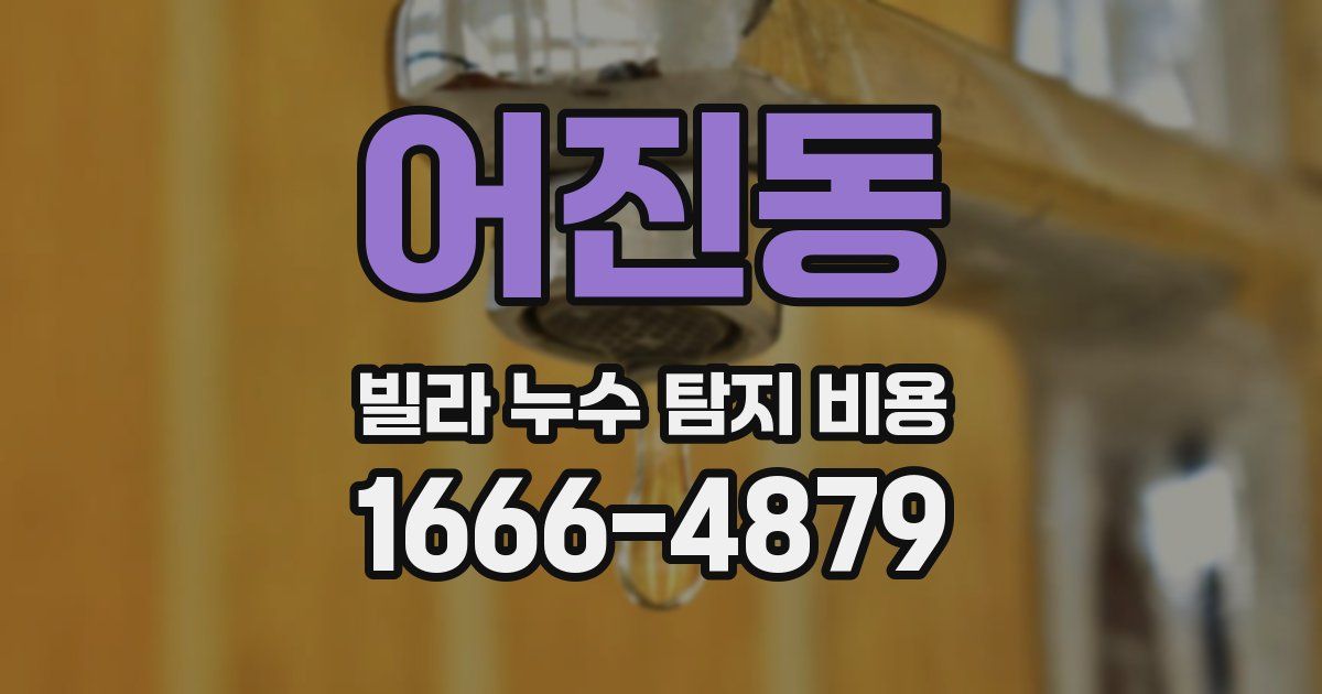 어진동 빌라 누수 탐지 비용