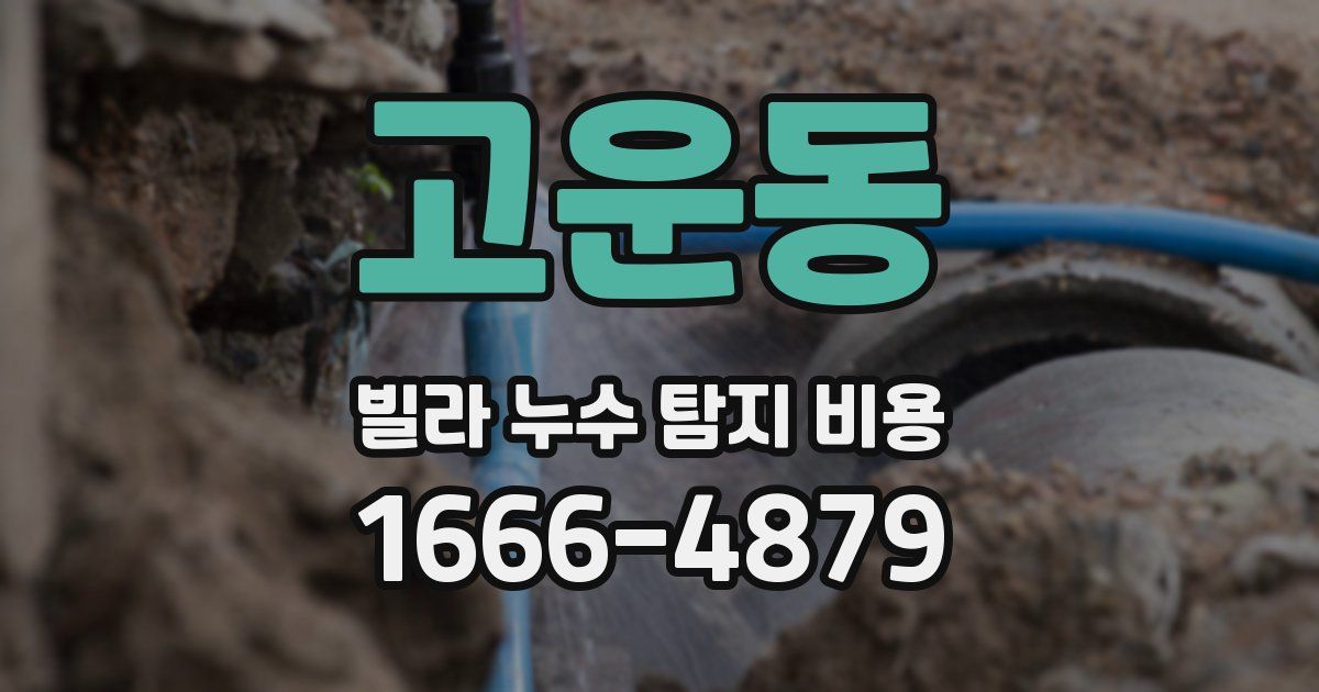 고운동 빌라 누수 탐지 비용