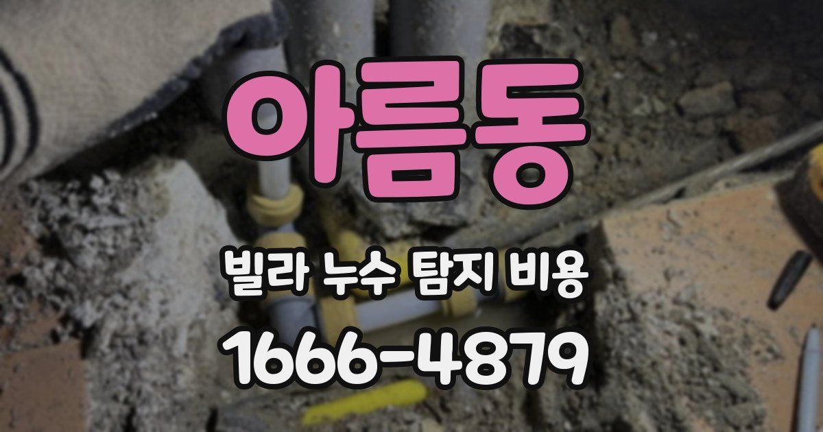 아름동 빌라 누수 탐지 비용