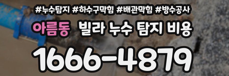아름동 빌라 누수 탐지 비용