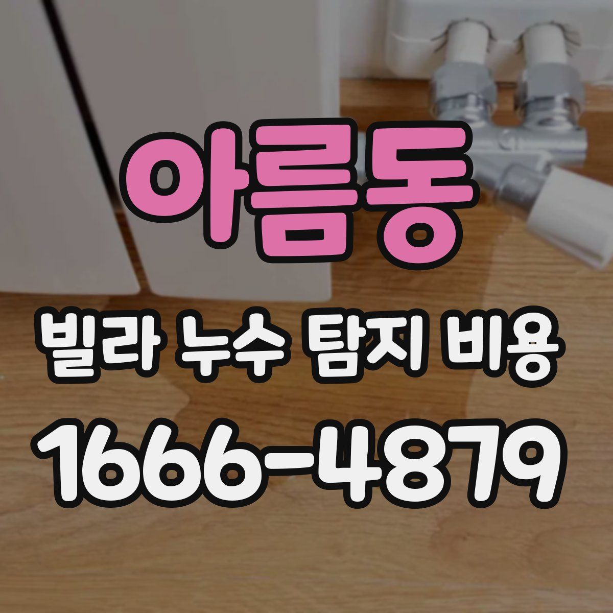 아름동 빌라 누수 탐지 비용