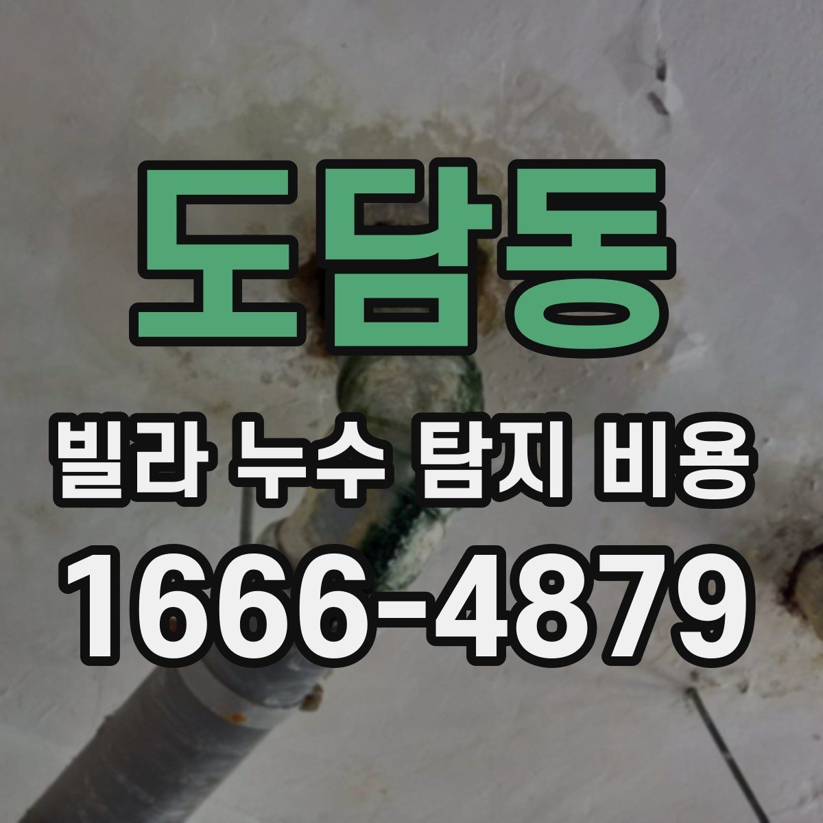 도담동 빌라 누수 탐지 비용
