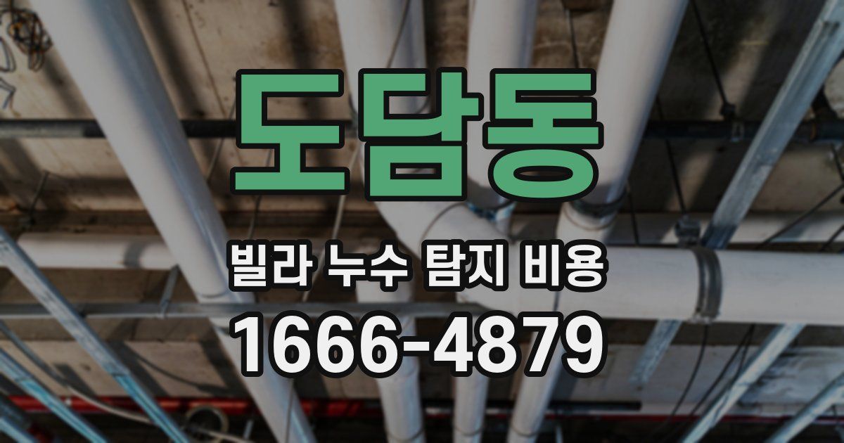 도담동 빌라 누수 탐지 비용