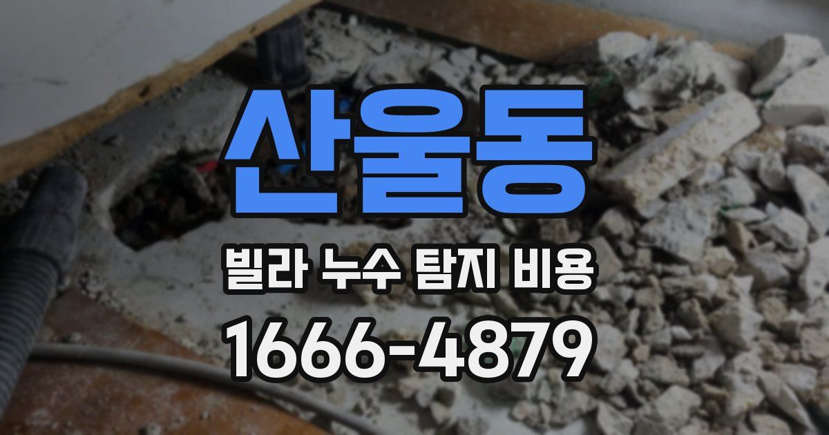 산울동 빌라 누수 탐지 비용