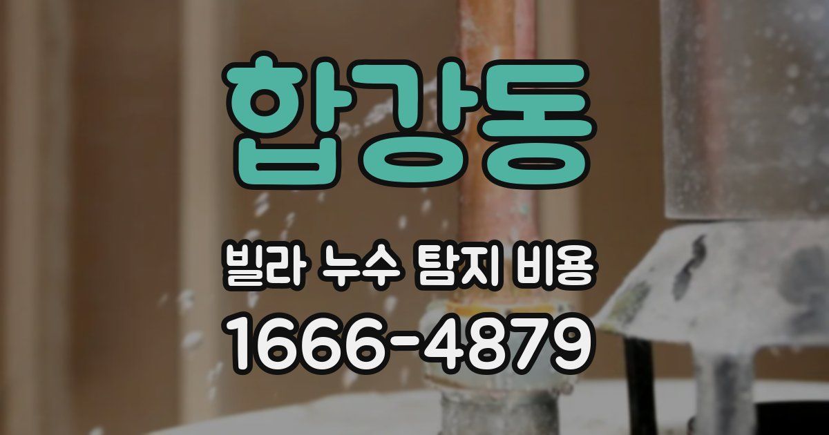 합강동 빌라 누수 탐지 비용