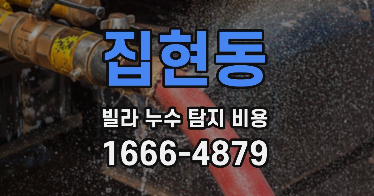 집현동 빌라 누수 탐지 비용