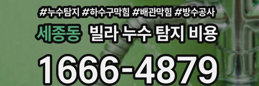 세종동 빌라 누수 탐지 비용